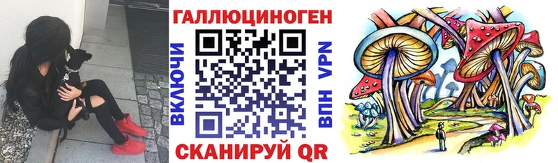Псилоцибиновые грибы Cubensis  Подпорожье 